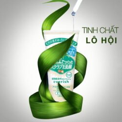 Sữa rửa mặt tẩy tế bào chết Everish chiết xuất lô hội 135g 6 eve2