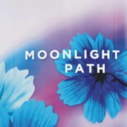 Sữa dưỡng thể Bath & Body Works Body Lotion hương Moonlight Path 236ml 3 Sữa dưỡng thể Bath & Body Works hương Moonlight Path 236ml