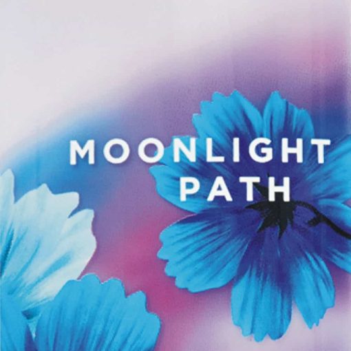 Sữa dưỡng thể Bath & Body Works hương Moonlight Path 236ml