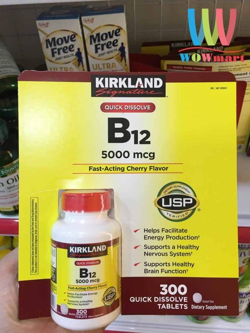 Kirkland Vitamin B12 có giúp cải thiện tình trạng thiếu máu không?
