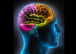 Wowmart VN | 100% hàng ngoại nhập