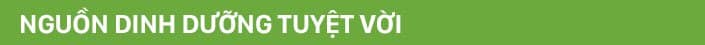 Wowmart VN | 100% hàng ngoại nhập