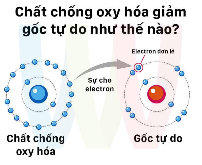 talk-chong-oxy-hoa