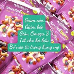 Hạt hỗn hợp Wild Roots Coastal Berry Blend Non-GMO 737g 11 hat hon hop wild roots coastal berry blend non gmo 737g knwd