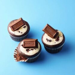 Socola Hershey's Miniatures Chocolate 1.58kg 18 socola hersheys miniature chocolate 60oz 158kg kng