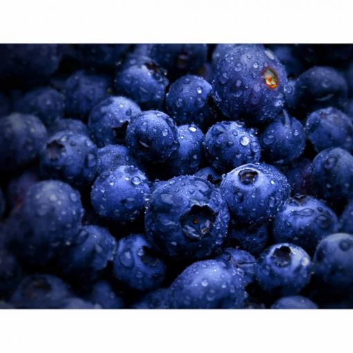 Việt Quất sấy khô Kirkland Signature Whole Dried Blueberries 567g