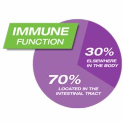 Men vi sinh Webber Naturals Complete Probiotic 75 viên 12 men vi sinh webber naturals complete probiotic 60 vien 3