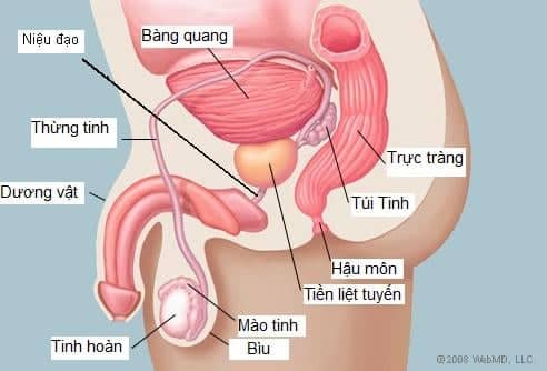 Wowmart VN | 100% hàng ngoại nhập
