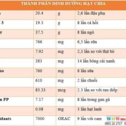 Hạt Chia Úc giàu Omega 3 Absolute Organic Chia Seeds Raw 1.5kg 7 thanh phan dinh duong hat chia uc seeds organic raw giau omega 3a