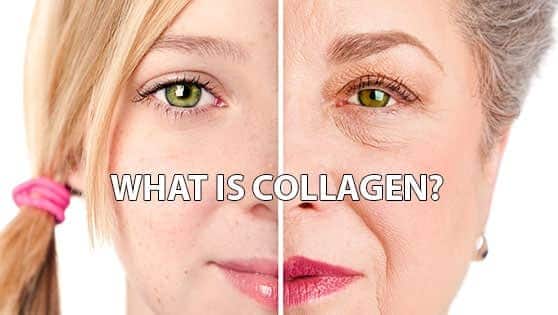 WHAT-IS-COLLAGEN