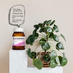 Tinh dầu hoa anh thảo Blackmores Evening Primrose Oil 190 viên 14 tinh dau hoa anh thao blackmores nutritional oil evening primrose oil 190 vien kdd