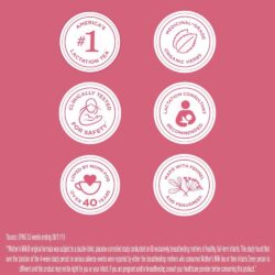 Trà lợi sữa dành cho bà mẹ cho con bú Organic Mother's Milk 28g (16 túi) 17 tra loi sua danh cho ba me cho con bu organic mothers milk knb