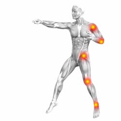 Viên bổ xương khớp Puritan's Pride Glucosamine Chondroitin MSM 120 viên