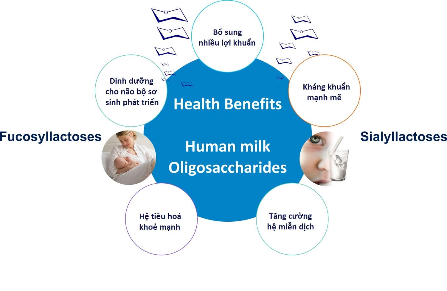 hmo_health_benefits-k.jpg