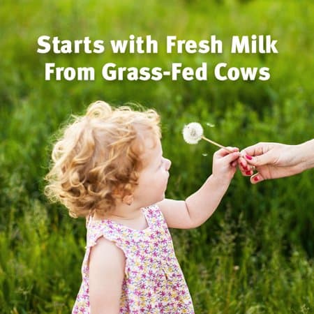 Sữa bột Similac cho trẻ từ 12–36 tháng tuổi Similac Pure Bliss Non–GMO Toddler Drink 900g