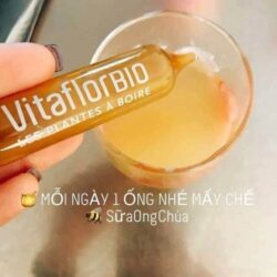 Sữa Ong Chúa Pháp Vitaflor Bio 1500mg 20 ống 7 sua ong chua vitaflor bio cua phap 1500mg 20 ong 161023 kd