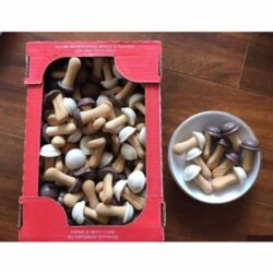 Bánh nấm Nga dạng hộp 330g 5 Bánh nấm Nga dạng hộp 330g