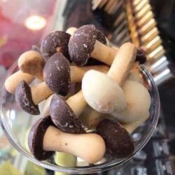 Bánh nấm Nga dạng hộp 330g 6 Bánh nấm Nga dạng hộp 330g