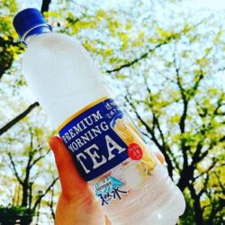 Nước suối trà sữa Suntory Nhật Bản Chai 550ml 8 Nước suối trà sữa Suntory Nhật Bản Chai 550ml