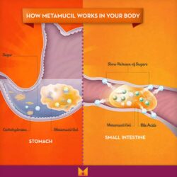 Bột cam bổ sung chất xơ Metamucil MultiHealth Fiber Sugar Free 228 liều lượng