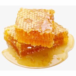 Mật ong gấu Kirkland Signature Organic Honey 680g 5 Mật ong Kirkland con gấu Kirkland Signature Raw Organic Honey Bear 680g