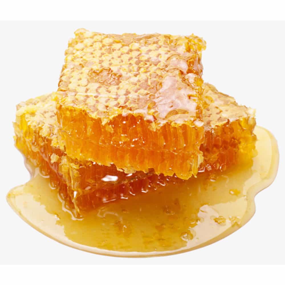 Mật ong con gấu Kirkland Signature Raw Organic Honey Bear 680g – Wowmart VN  | 100% hàng ngoại nhập