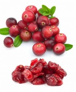 Nam việt quất sấy khô Ocean Spray Craisins Whole Dried Cranberries 1.8kg