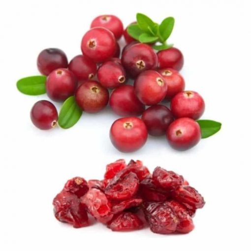Nam việt quất sấy khô Ocean Spray Craisins Whole Dried Cranberries 1.8kg