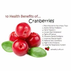 Nam việt quất sấy khô Ocean Spray Craisins Whole Dried Cranberries 1.81kg 11 Nam việt quất sấy khô Ocean Spray Craisins Whole Dried Cranberries 1.8kg