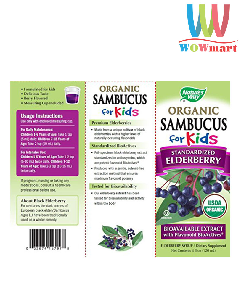 Siro tăng đề kháng cho trẻ em Nature’s Way Organic Sambucus for Kids Elderberry Syrup 120ml