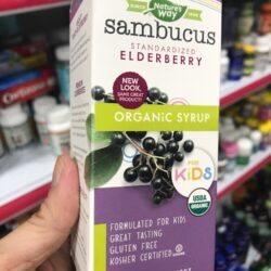 siro tang de khang cho tre em natures way organic sambucus for kids elderberry syrup 120ml 2162