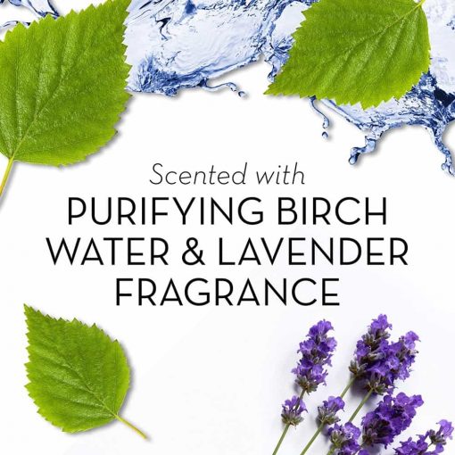 Sữa tắm Olay Fresh Outlast Body Wash Purifying Birch Water & Lavender (xanh dương) 700ml