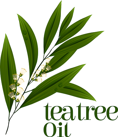 Tinh dầu tràm trị mụn Thursday Plantation Tea Tree Oil 10ml
