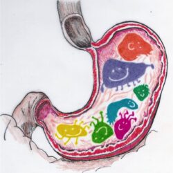 Men vi sinh 100 tỷ lợi khuẩn Life Space 100 Billion Probiotic Powder 30g 6 about probiotic supplements