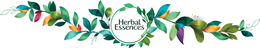 Dầu xả phục hồi tóc hư tổn Herbal Essences Rose Hips Smooth Conditioner 1L