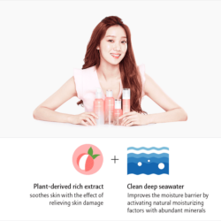 Nước hoa hồng Laneige Fresh Calming Toner 250ml 5 laneige fresh calming toner ingredient