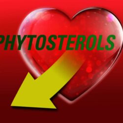 vien giam cholesterol nature made cholest off plus 450mg 210 vien knewb