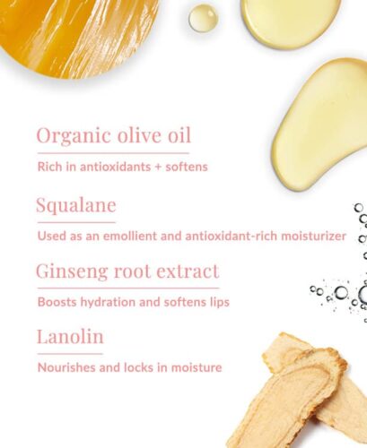 son duong moi dhc lip cream 250725 kb