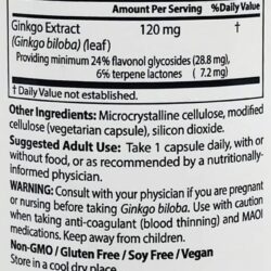 Bổ não và ngăn ngừa đột quỵ Doctor's Best Extra Strength Ginkgo 120mg 360 viên 11 bo nao va ngan ngua dot quy doctors best extra strength ginkgo 120mg 360 vien kne