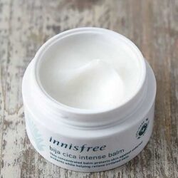 Kem dưỡng ngừa mụn Innisfree Bija Cica Intense Balm 25ml 6 Kem dưỡng trị mụn Innisfree Bịja Cica Intense Balm