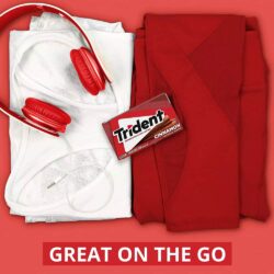 sing gum my khong duong trident sugar free gum vi que 111024 ke