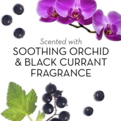 Sữa tắm Olay Fresh Outlast Soothing Orchid & Black Currant (màu tím) 700ml 5 sua tam olay fresh outlast soothing orchid black currant mau tim 700ml b