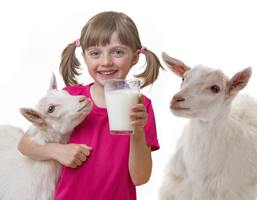 Sữa dê cô đặc hương Vani Healthy Care Goat’s Milk 300 Chewable Tablets