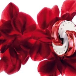 Nước hoa nữ Bvlgari Omnia Coral Eau De Toilette 65ml 7 Nước hoa nữ Bvlgari Omnia Coral Eau De Toilette 65ml