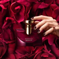 Nước hoa nữ Bvlgari Splendida Magnolia Sensuel Eau De Parfum 100ml 7 Nước hoa nữ Bvlgari Splendida Magnolia Sensuel Eau De Parfum 100ml