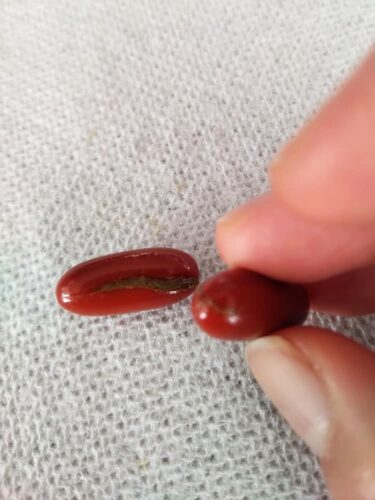 Vitamin cho bà bầu One A Day Prenatal DHA,Folic Acid & Iron 30 viên 40 vien bo cho ba bau one a day prenatal advanced multivitamin choline 30 vien x2 070525 kg