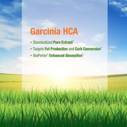 Viên uống giảm cân giảm mỡ thừa Irwin Naturals Garcinia HCA 1200 mg 180 viên 5 vien uong giam can giam mo thua irwin naturals garcinia hca 1200 mg 180 vien c