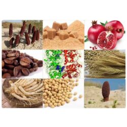 Kẹo sâm Hamer Ginseng & Coffee tăng cường sinh lý nam giới hộp 30 viên 9 Kẹo sâm Hamer Ginseng & Coffee tăng cường sinh lý nam giới hộp 30 viên