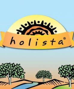 Holista logo