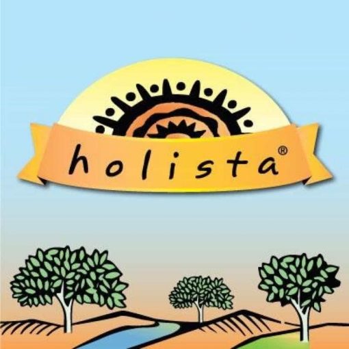 Holista logo